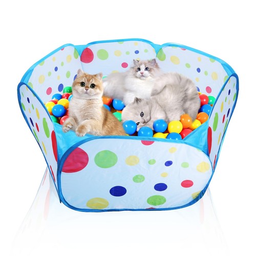 Cat ball pit pop - cat, up